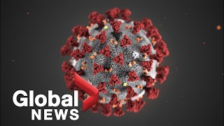 Coronavirus outbreak: How U.S., Canada combating illness as Canadians in China wait to return home