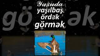 Yuxuda yaşılbaş ördək görmək