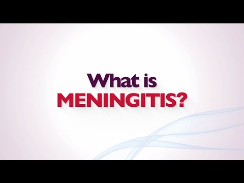 What is Meningitis?