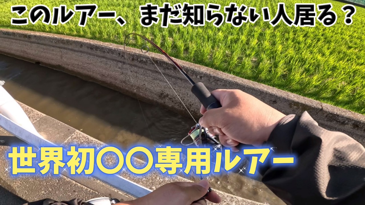 川でコイ釣りされる方　必須 抜群の引き！多摩川のコイ - YouTube