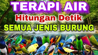 HITUNGAN DETIK AMPUH UNTUK SEMUA JENIS BURUNG, TERAPI AIR UNTUK SEMUA JENIS BURUNG MACET BUNYI 