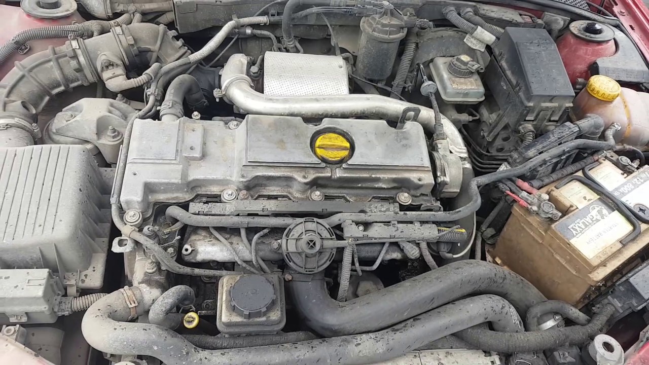 Двигатель опель вектра б 2.0. Opel Vectra b дизель 2.0. Опель Вектра б 2.2. Опель Вектра б 2.0 16v. Двигатель Опель Вектра а 2.0.