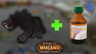 #284 СЛАБИТЕЛЬНОЕ ДЛЯ ЖИВОТНЫХ - Приключения в World of Warcraft #284 СЛАБИТЕЛЬНОЕ ДЛЯ ЖИВОТНЫХ - Приключения в World of Warcraft