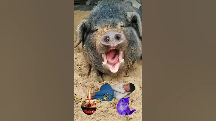 Funny pig vfx video #shorts