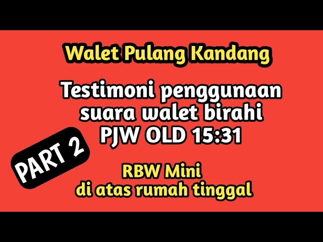 Testimoni penggunaan suara walet PJW old 15:31 part 2 class=