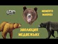 Эволюция медведей. Помни о предках