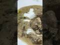 “Soft &amp; Juicy White Chicken | Simple 4-Step Recipe” #asmr #food #cooking #whitechickencurry