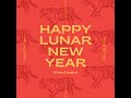 Happy Lunar New Year! 🎆🐅 #shorts