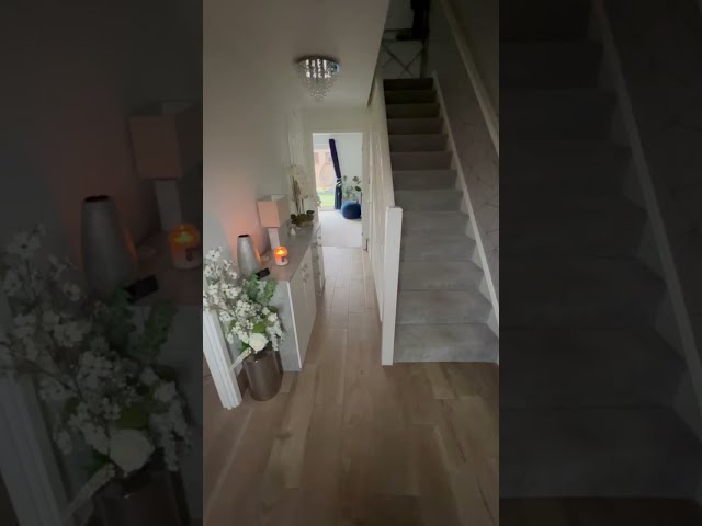 Video 1: