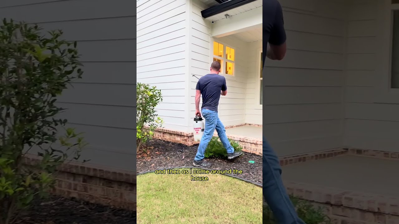 The Best DIY Pest Control 