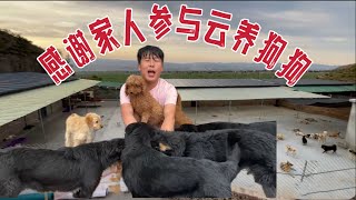 2024531 Xiaoxu's Mountain Life with Dogd 感谢大家的帮助通过几天时间家园又助养了9只狗狗今天带大家参观一下家园所有的狗狗以及区域。