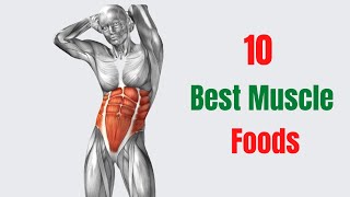 10 Best Muscle Foods – Foods You Should Eat When Trying to Build Muscles