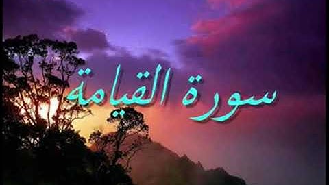 تلاوة خاشعة للشيخ القارئ(يوسف العيدروس) سورة القيامة