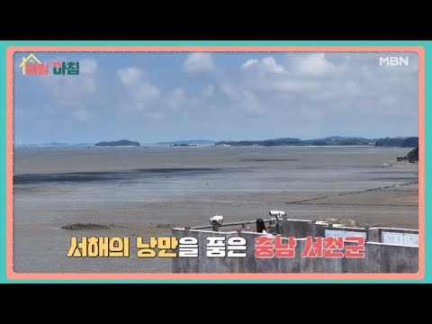 매일아침 [260회] MBN 260811 방송