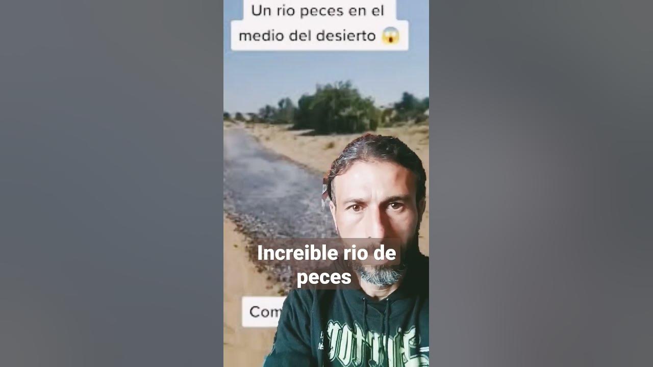 río de peces en la arena 😲😲😲 YouTube río de peces en la arena 😲😲😲 YouTube