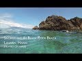 Snorkelling at Black Rock Beach on Maui - Highlights