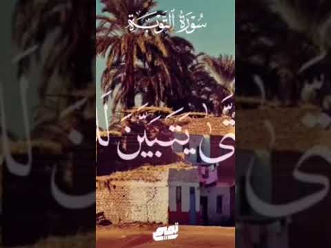 إحساس وخشوع عالي جدا من كروان الإذاعة والتلفزيون القارئ الشيخ حجاج الهنداوي سورة التوبة الآيه ٤٣ إحساس وخشوع عالي جدا من كروان الإذاعة والتلفزيون القارئ الشيخ حجاج الهنداوي سورة التوبة الآيه ٤٣