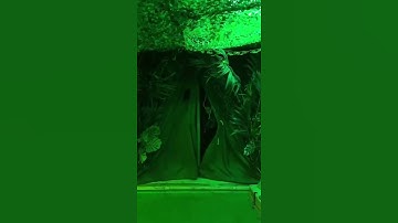 When you find props in an escape room! #shorts