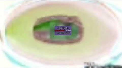 3.0 I KILLED Preview 2 Crying Render Pack