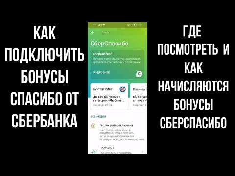 Спасибо от сбербанка: как подключить бонусы спасибо и посмотреть в приложении СберCпасибо