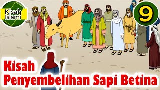 Prophet Moses AS Part 9 - Slaughtering the Cow - Islamic Stories Channel