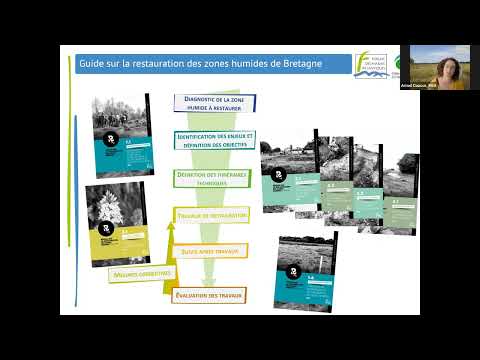 Webinaire sur la présentation des carnets du Guide sur la restauration des zones humides de Bretagne