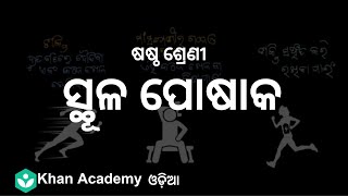 Macronutrients[odia] | Classification of Food | Class 6 | Biology | Khan Academy
