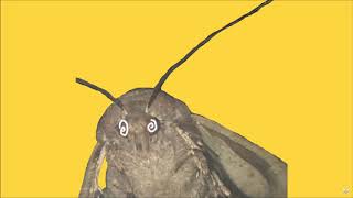 all of the lamps [moth meme] [re-upload]