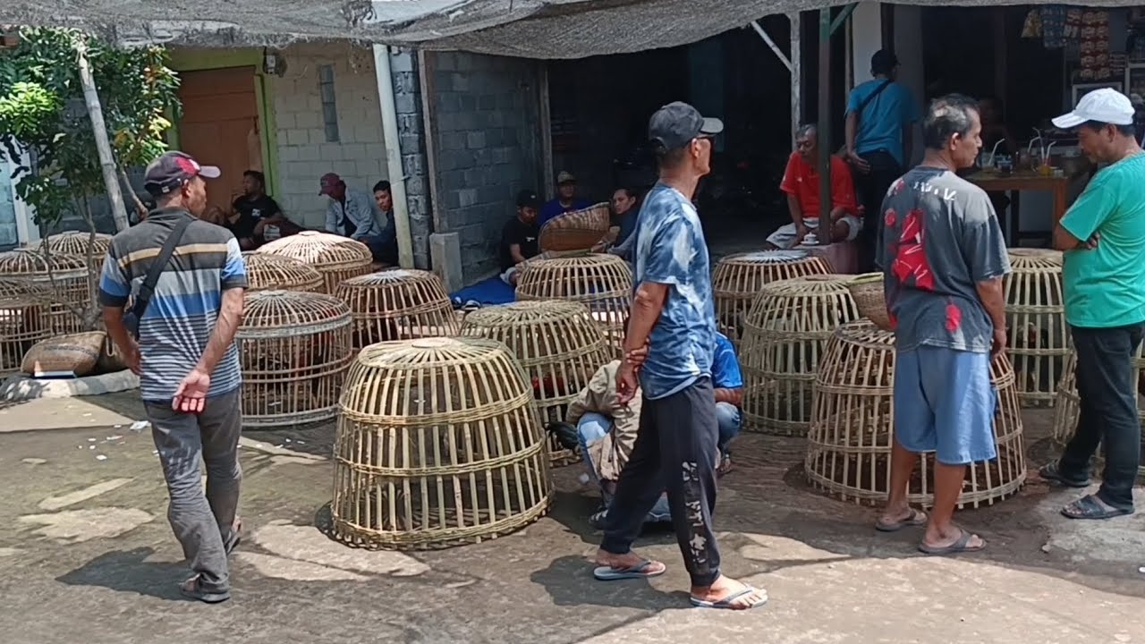 HARGA AYAM DIPASAR INI TERNYATA SANGAT MURAH