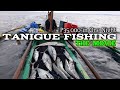 TANIGUE FISHING  THE MOVIE - P35,000 in one Night | Bicol,Philippines