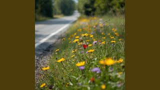 Bunga Di Tepi Jalan