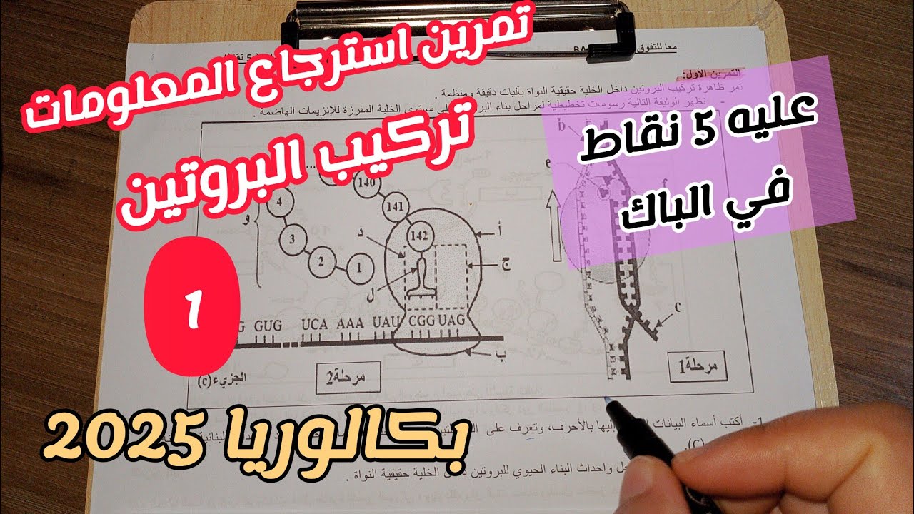 تمرين استرجاع المعلومات حول تركيب البروتين (1) (عليه 5نقاط في الباك)||بكالوريا 2025