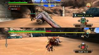 Monster Hunter Tri Arena splitscreen pt. 2