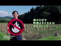 山火事防止にご協力を（いわての森林づくり県民税からのお知らせ）