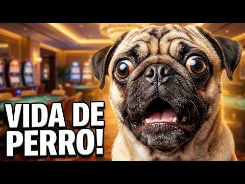 🌴 MARBELLA 🌴HUGO TORRES💚EL CASTILLO OSCURO ¿NUEVAS PERSONAS EN SU VIDA DE PERRO 💚 Ep 17 !rede