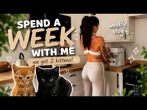 Weekly vlog: picking up our kittens, the great north swim, gymshark sale, home life♡