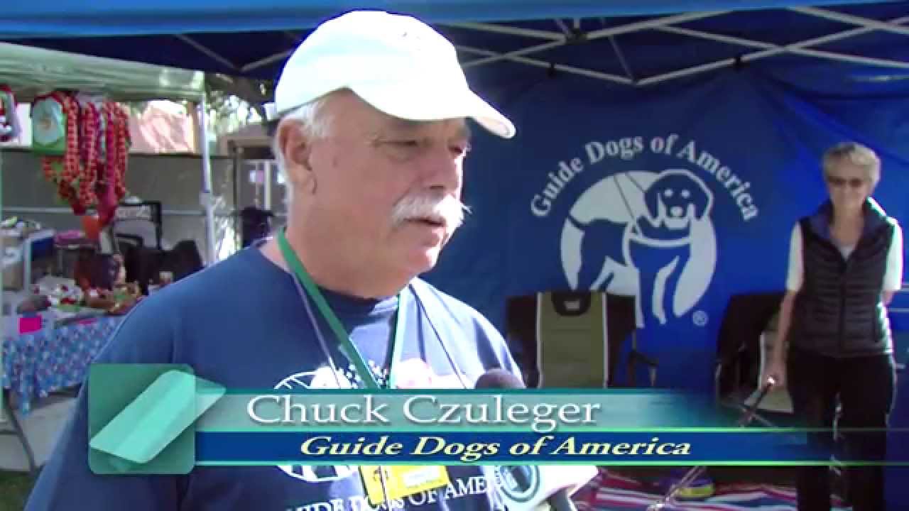 Home for the Holidays Pet Adoption Fair - YouTube