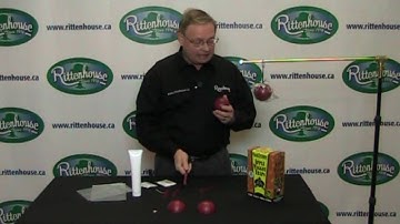 Rittenhouse Apple Maggot Trap