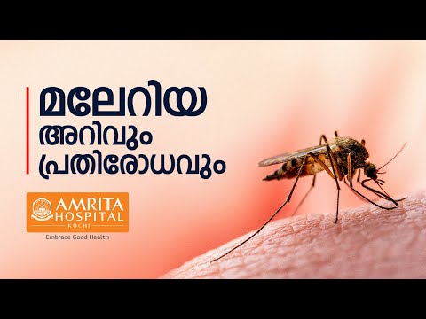 World Malaria Day 2023, April 25—കൊതുകും മലേറിയയും; രോഗം, ലക്ഷണങ്ങൾ, പ്രതിരോധമാർഗ്ഗങ്ങൾ