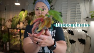 Unboxing Plants