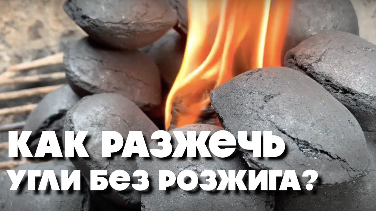 �����������: ����.