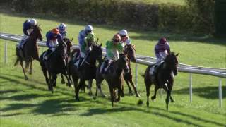 Vidéo de la course PMU PREIS DER LIEFERANTEN DES HORSE PARK ZURICH-DIELSDORF