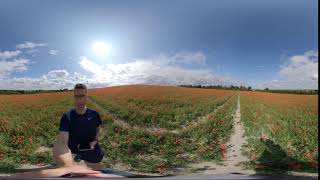 First Test of Insta360 One X - Walking Through a Field of Poppies