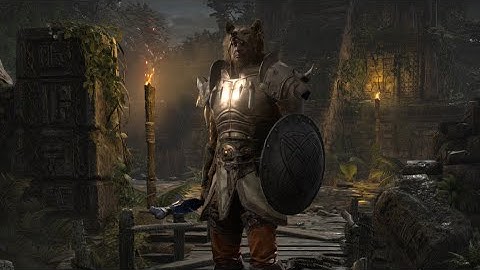 Diablo 2 Resurrected Hardcore Single Player Poison Summoner Druid Part 3