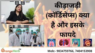 Keedajadi (cordyceps) kya hai aur iske fayede | health benefits | Training