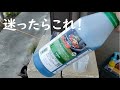 除草剤に迷ったらこれ！スギナにも枯れる除草剤はバスタ液剤