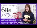 【バラの基本知識】6月のバラの管理