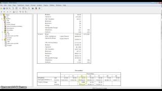 SPSS Explore