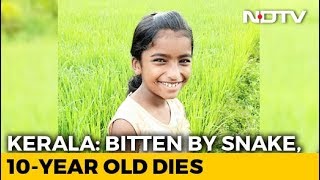 Kerala Girl,10, Dies Of Snakebite In Class, School Allegedly Ignored Injury