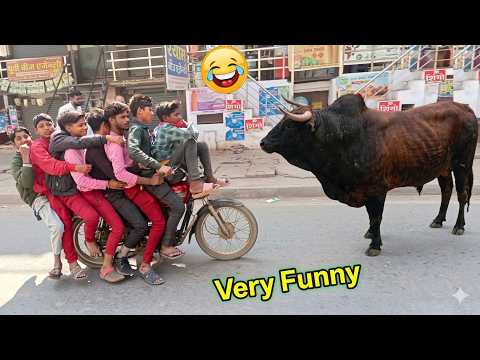 The ultimate laughter resistance challenge  The funniest moments and failed pranks